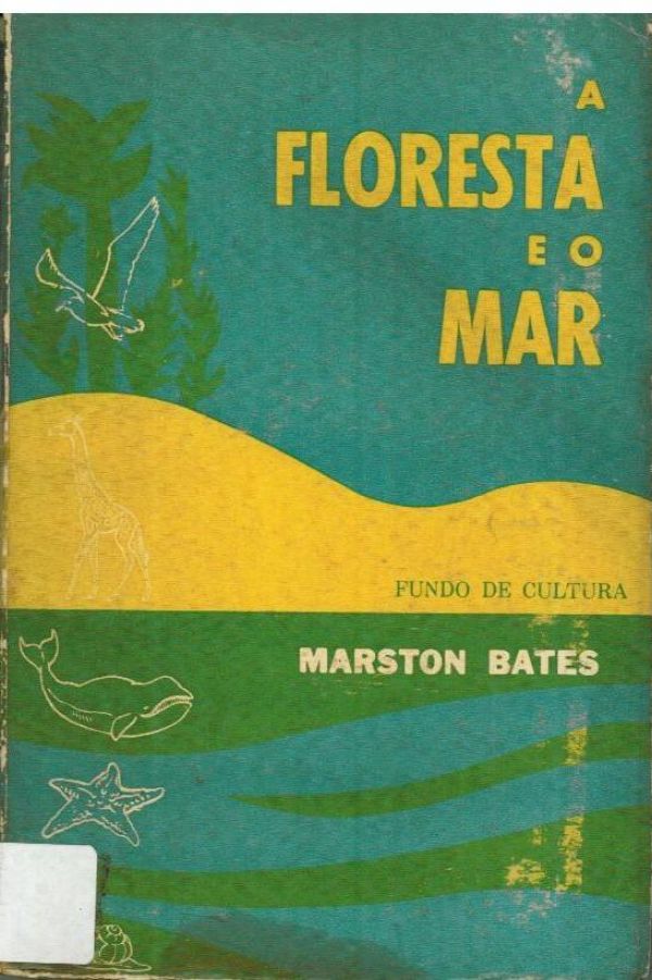 Floresta e o Mar, A